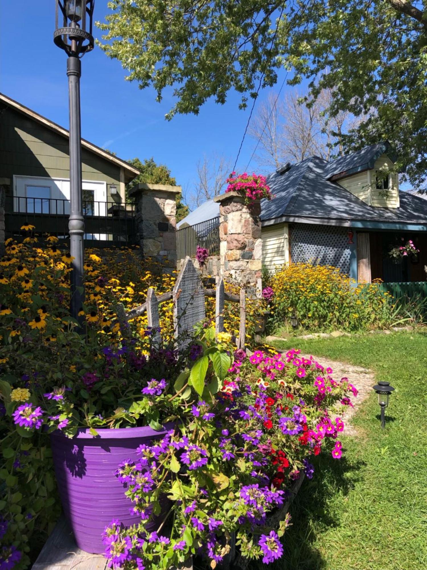 Spry Church Cozy Cottage 라이언스 헤드 외부 사진